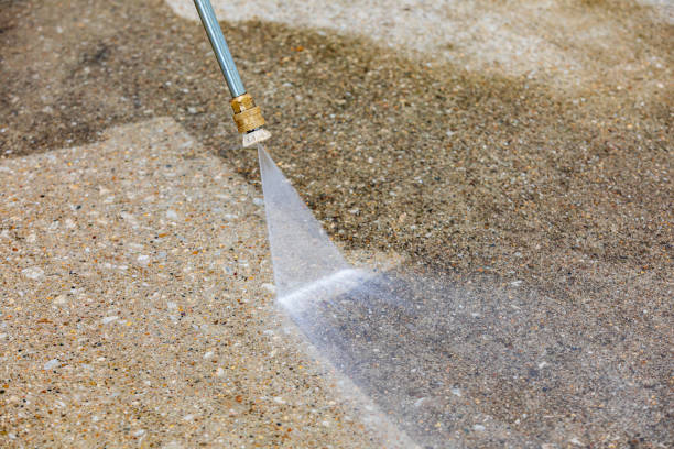 Best Roof Cleaning and Mildew Removal in Dooms, VA